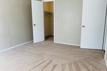 Walk-In Closets (in select homes)