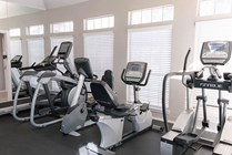 Professional Fitness Center