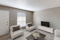 Living Room with Lots of Sunlight!