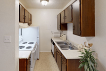 Double-Bowl Sink