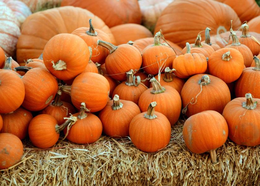 Lubbock fall activities