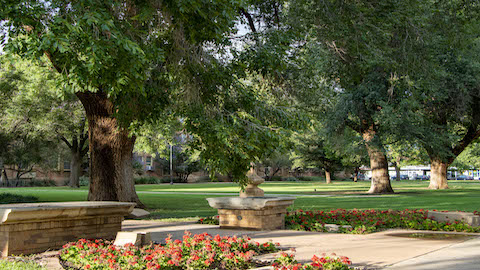 getting around Texas Tech University 